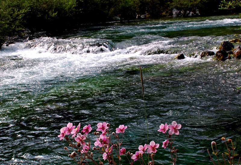 06 泉水叮咚（川西）_副本.jpg