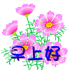 早上好08.jpg