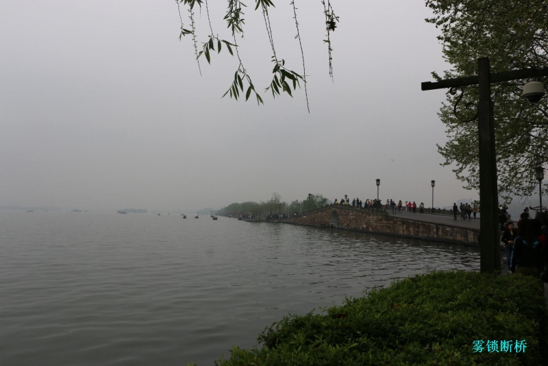 IMG_1306.jpg