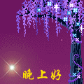 晚上好01.jpg