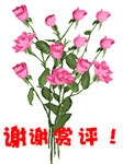 谢谢赏评.jpg