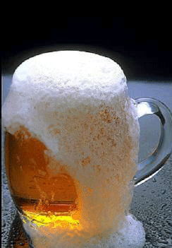 敬酒.gif