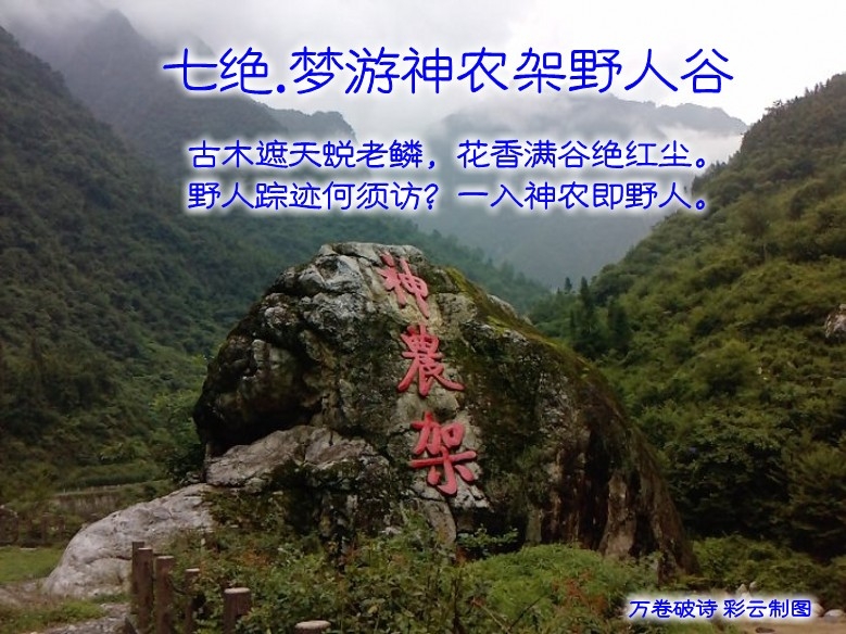 zl20110608004_conew37.jpg