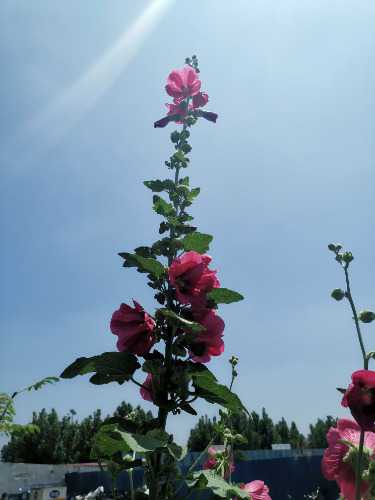 IMG_20240608_114844.jpg